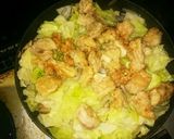 鶏肉とキャベツの甘辛炒め作り方14写真