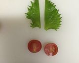サーモンとマグロのお花丼作り方4写真