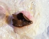 白玉でチョコ大福作り方5写真