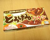 大変身!さっぱりハヤシライス作り方4写真