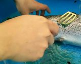 豊島園大型の鱒の処理の仕方作り方3写真