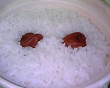 土鍋で簡単夏ご飯☆梅の炊き込みご飯作り方3写真