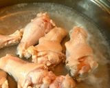 ダイエット!?種まで食べるゴ～ヤ～の煮物作り方1写真