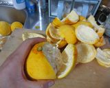 夏みかんピール:スティックオランジェット作り方4写真
