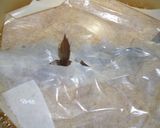 魚を捌こう！メバル煮つけ編作り方9写真
