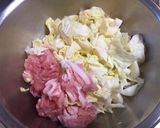 キャベツが美味い!お好み揚げ作り方1写真