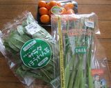 法蓮草と金柑のサラダ作り方1写真