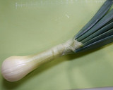 簡単！葉たまねぎの塩こんぶ炒め作り方1写真
