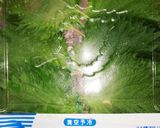 長期保存できちゃう！大葉の保存法作り方1写真