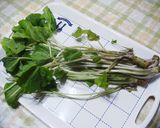 わさびの茎の麺つゆ漬け・花わさびでもOK作り方1写真