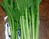 青菜の冷蔵保存!作り方1写真