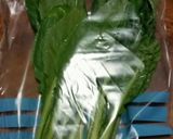 青菜の冷蔵保存!作り方4写真