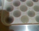 ぷるぷる目玉ゼリー作り方13写真