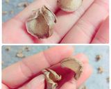 万能!蒸し生姜!作り方8写真