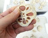 乾燥レンコン（干し野菜の作り方）作り方6写真