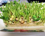 簡単！鶏ガラの素で豆苗のナムル作り方6写真