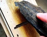 卵とチーズの粉なしお好み焼き作り方7写真