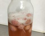 【自家製酵母】いちごの酵母液作り方9写真