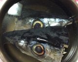 マグロの目玉作り方1写真