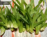 カンゾウの芽、菊芋と鯖のへしこの炒め物作り方2写真