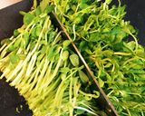 節約常備菜に◎モヤシと豆苗のナムル作り方2写真