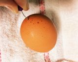 安くてヘルシーピリ辛親子煮。作り方1写真
