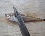 ハタハタの下処理作り方1写真