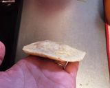 HBで簡単★全粒粉で作るあんぱん!作り方4写真