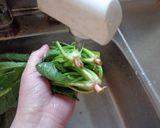 最速のほうれん草のおひたし作り方4写真