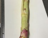 山うどサラダ作り方1写真
