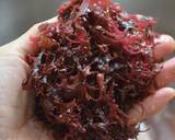 天草のトサカとキュウリのみかん酢あえ作り方1写真