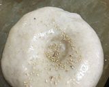 ふんわり全粒粉のミニあんぱん作り方23写真