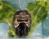 キャラ弁 スターウォーズ☆カイロレン作り方4写真