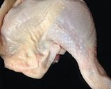 鳥もも焼き作り方2写真