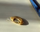 捨てずに活用!かぼちゃの種作り方3写真