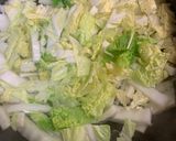 白菜のサラダ🥗作り方1写真