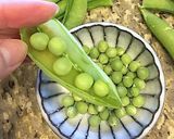 STAUB18cmココット鍋で炊く豆ご飯作り方3写真