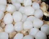 たまこん照焼作り方6写真