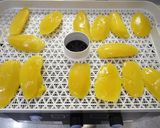 食品乾燥機で自家製ドライフルーツマンゴー作り方2写真