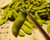 うまい枝豆の茹で方作り方1写真