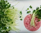 ♡かいわれ大根のレモンサラダ♡作り方3写真