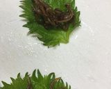 いかなごの釘煮のおにぎり作り方1写真