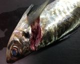 鯵のお刺身☆捌き方作り方3写真