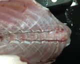 鯵のお刺身☆捌き方作り方6写真