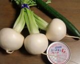 かぶ＋きゅうり＋ツナの、食べやすいサラダ作り方1写真