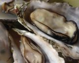 超簡単に牡蠣をぷっくりと圧力鍋で蒸す作り方11写真