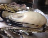 超簡単に牡蠣をぷっくりと圧力鍋で蒸す作り方13写真
