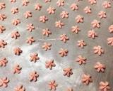 いちごパウダーで桜の絞り出しクッキー作り方5写真