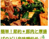 簡単！節約＊豚肉と厚揚げのピリ辛味噌炒め作り方15写真