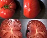 簡単☆東アフリカ料理☆カチュンバリ作り方3写真